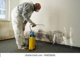 Why You Should Choose Our Mold Remediation Services in Glenrock, WY